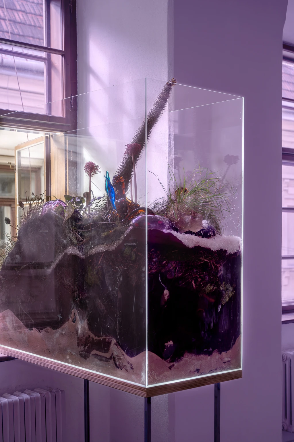 installation view