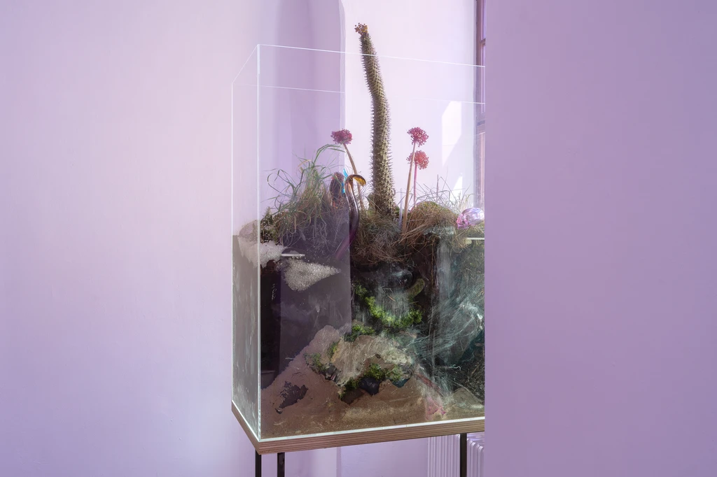 Few thoughts on floating spores 23 10 2023 Sopa Gallery 46 2
