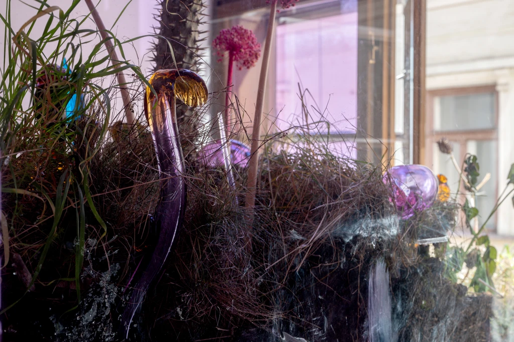 Few thoughts on floating spores 23 10 2023 Sopa Gallery 46 6