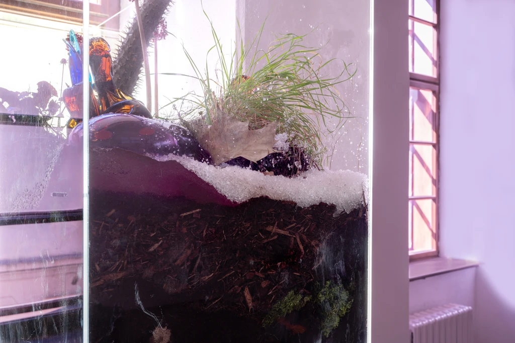 Few thoughts on floating spores 23 10 2023 Sopa Gallery 46 7